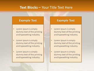 Cold Object Alcohol PowerPoint Template