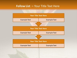 Cold Object Alcohol PowerPoint Template