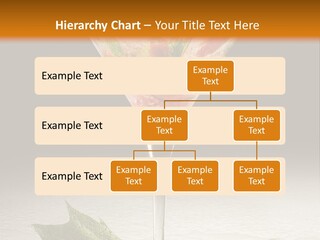 Cold Object Alcohol PowerPoint Template