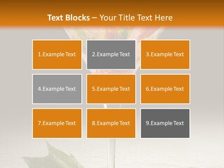 Cold Object Alcohol PowerPoint Template