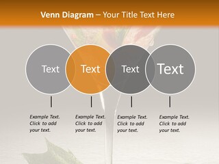Cold Object Alcohol PowerPoint Template