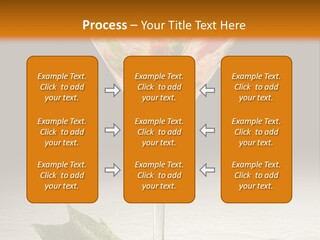 Cold Object Alcohol PowerPoint Template