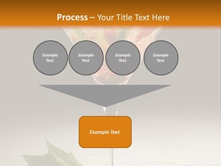 Cold Object Alcohol PowerPoint Template