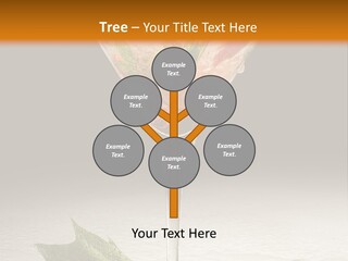 Cold Object Alcohol PowerPoint Template