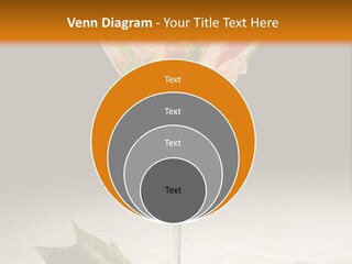 Cold Object Alcohol PowerPoint Template
