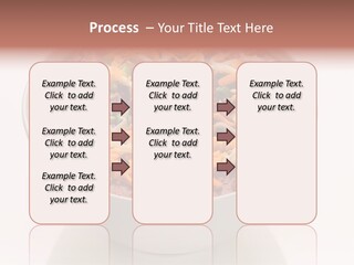 Beans Bowl Black Beans PowerPoint Template