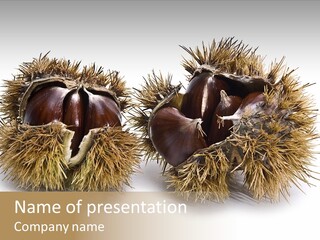 White Healthy Seeds PowerPoint Template