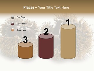 White Healthy Seeds PowerPoint Template