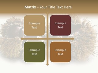 White Healthy Seeds PowerPoint Template