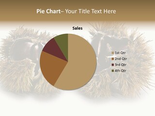 White Healthy Seeds PowerPoint Template