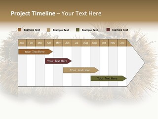 White Healthy Seeds PowerPoint Template