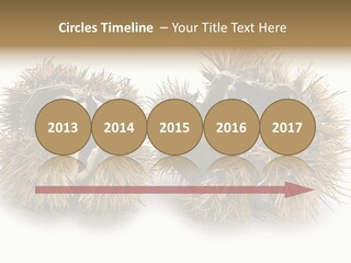 White Healthy Seeds PowerPoint Template