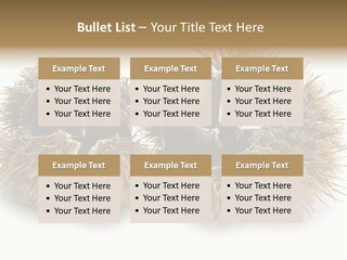 White Healthy Seeds PowerPoint Template