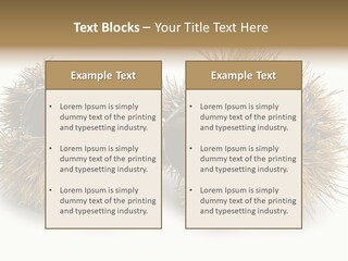 White Healthy Seeds PowerPoint Template
