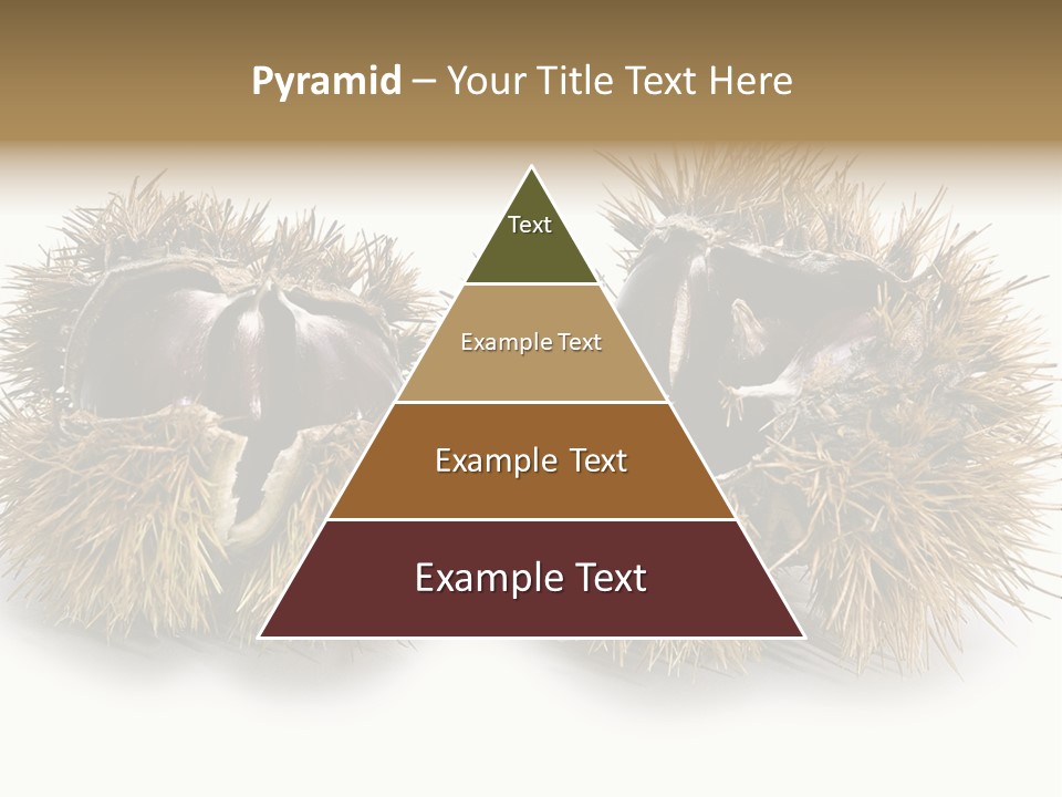 White Healthy Seeds PowerPoint Template