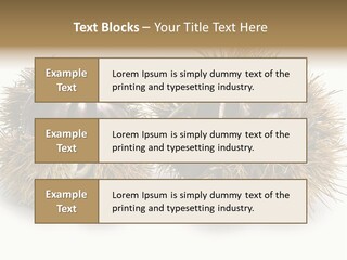 White Healthy Seeds PowerPoint Template