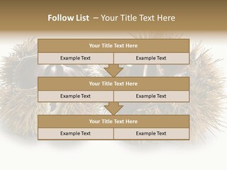 White Healthy Seeds PowerPoint Template