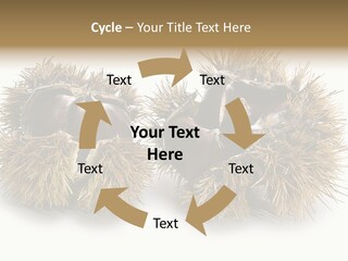 White Healthy Seeds PowerPoint Template