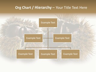 White Healthy Seeds PowerPoint Template