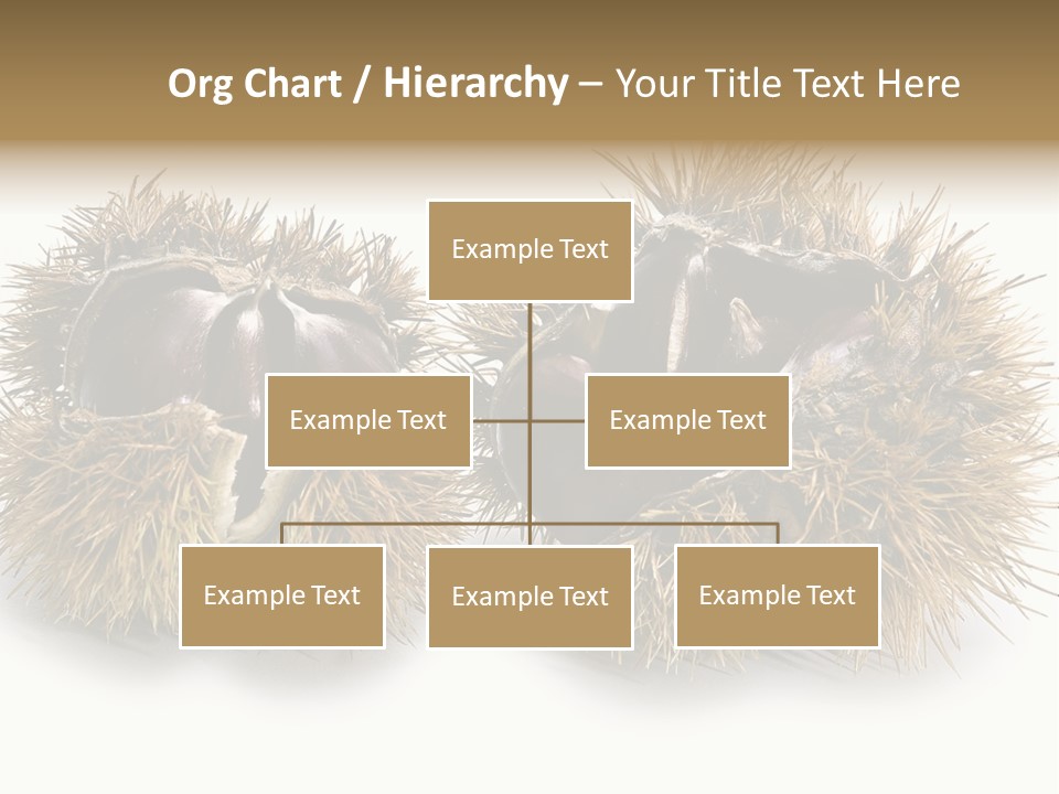 White Healthy Seeds PowerPoint Template