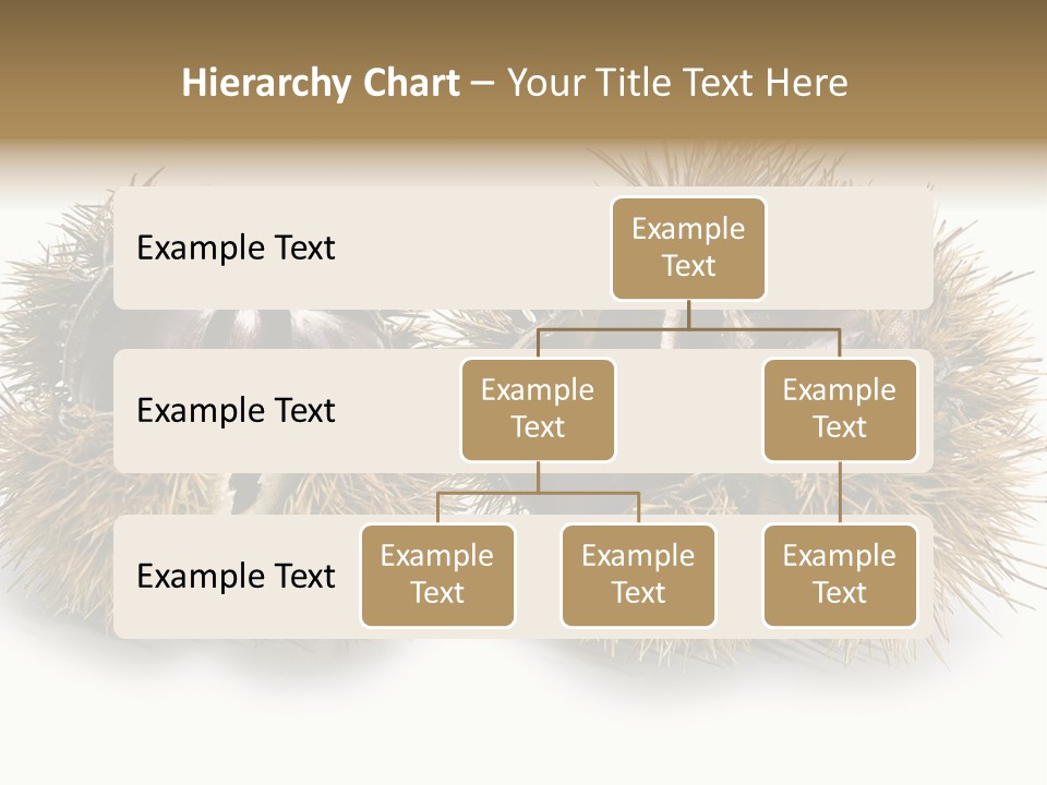 White Healthy Seeds PowerPoint Template