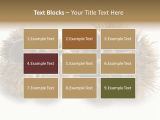 White Healthy Seeds PowerPoint Template