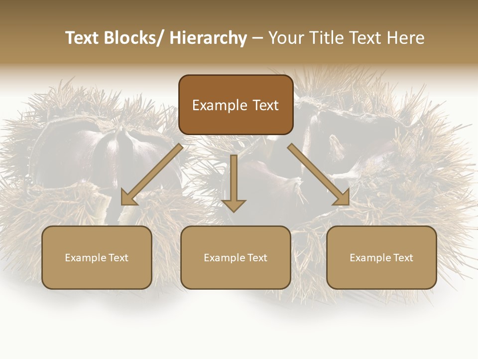 White Healthy Seeds PowerPoint Template