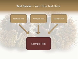 White Healthy Seeds PowerPoint Template