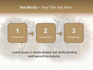 White Healthy Seeds PowerPoint Template