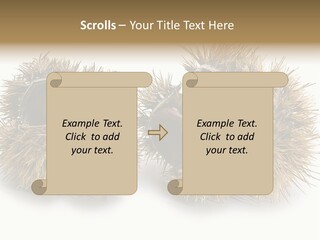 White Healthy Seeds PowerPoint Template