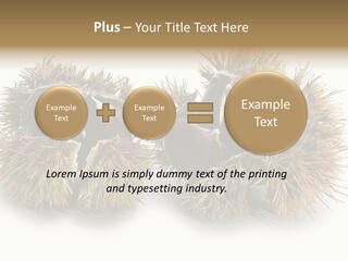 White Healthy Seeds PowerPoint Template