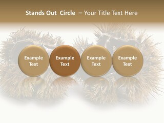 White Healthy Seeds PowerPoint Template