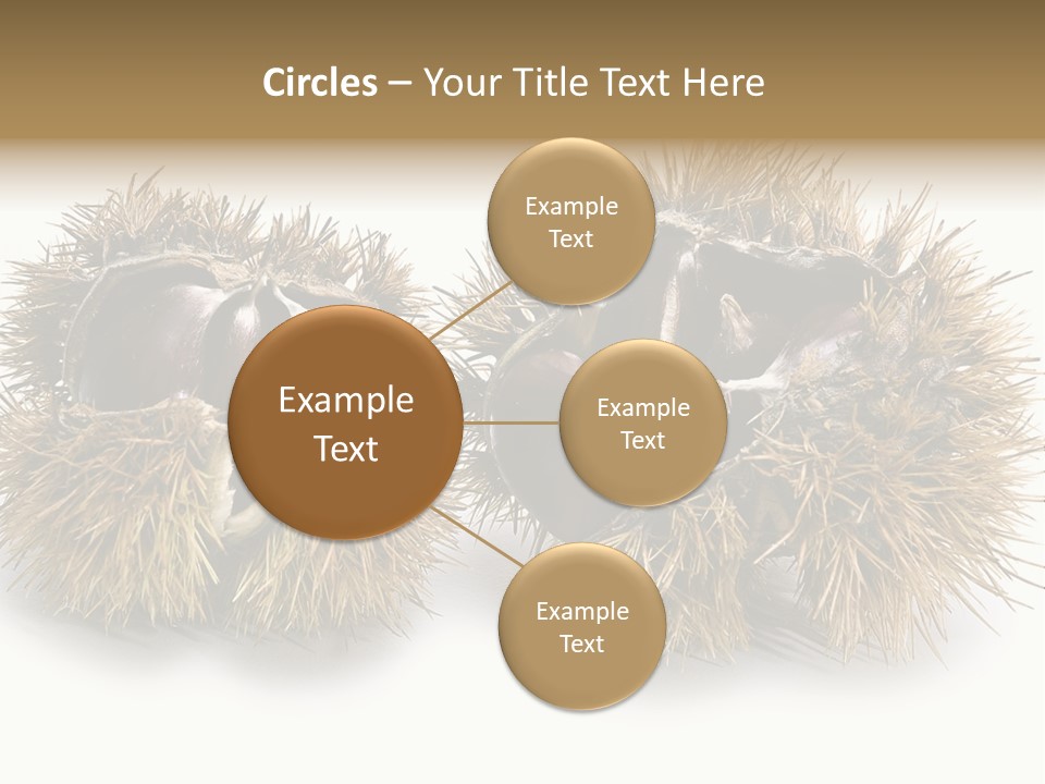 White Healthy Seeds PowerPoint Template