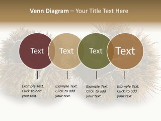 White Healthy Seeds PowerPoint Template