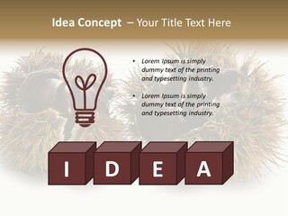 White Healthy Seeds PowerPoint Template