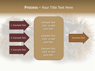 White Healthy Seeds PowerPoint Template
