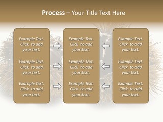 White Healthy Seeds PowerPoint Template