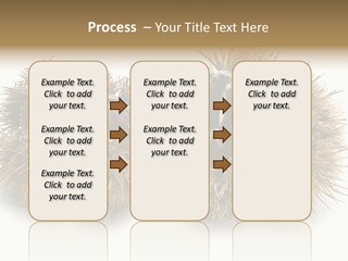White Healthy Seeds PowerPoint Template