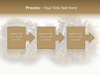 White Healthy Seeds PowerPoint Template