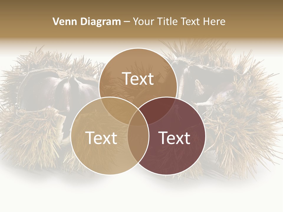 White Healthy Seeds PowerPoint Template