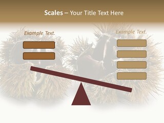 White Healthy Seeds PowerPoint Template