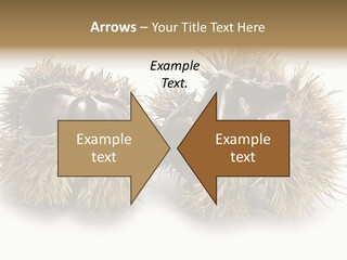 White Healthy Seeds PowerPoint Template