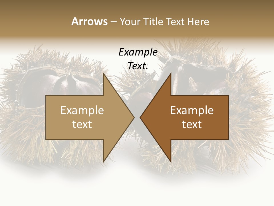 White Healthy Seeds PowerPoint Template