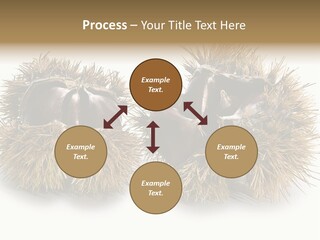 White Healthy Seeds PowerPoint Template