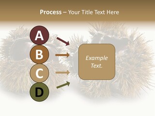 White Healthy Seeds PowerPoint Template