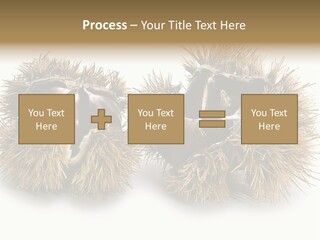 White Healthy Seeds PowerPoint Template