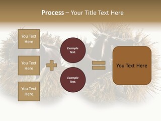 White Healthy Seeds PowerPoint Template