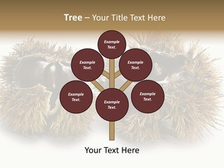 White Healthy Seeds PowerPoint Template