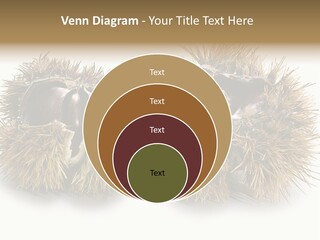 White Healthy Seeds PowerPoint Template