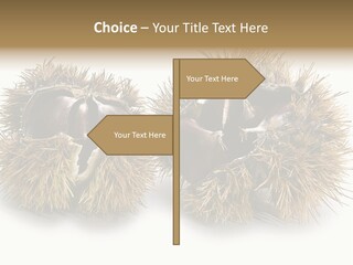 White Healthy Seeds PowerPoint Template
